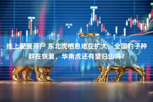 线上配资开户 东北虎栖息地在扩大，全国豹子种群在恢复，华南虎还有望归山吗？