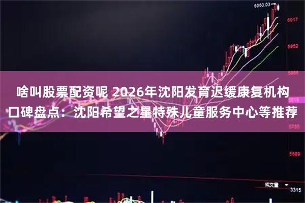 啥叫股票配资呢 2026年沈阳发育迟缓康复机构口碑盘点：沈阳希望之星特殊儿童服务中心等推荐